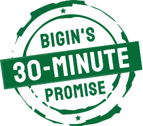 planilhas para o Bigin