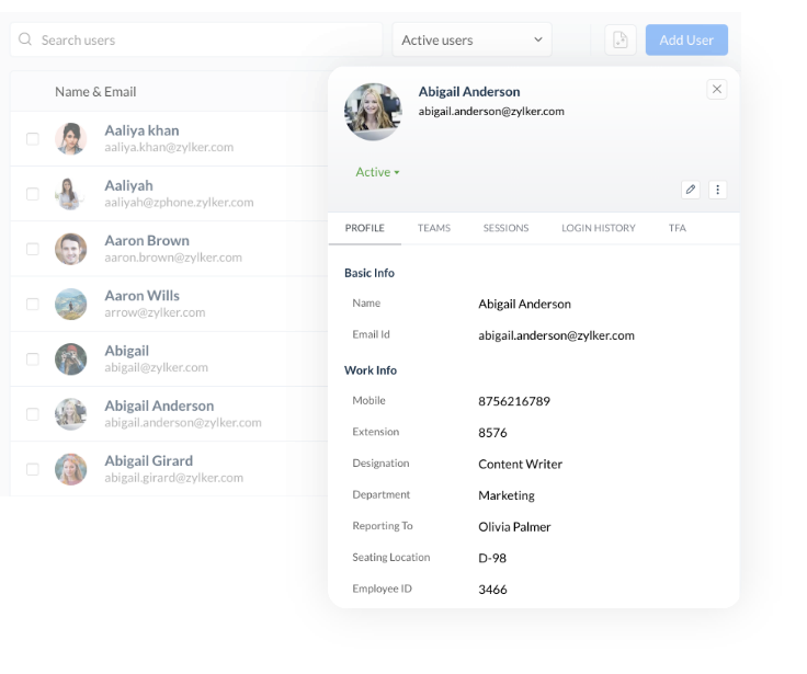 Cliq Enterprise customization