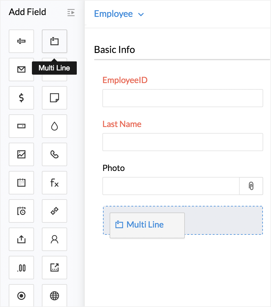 Form Customization