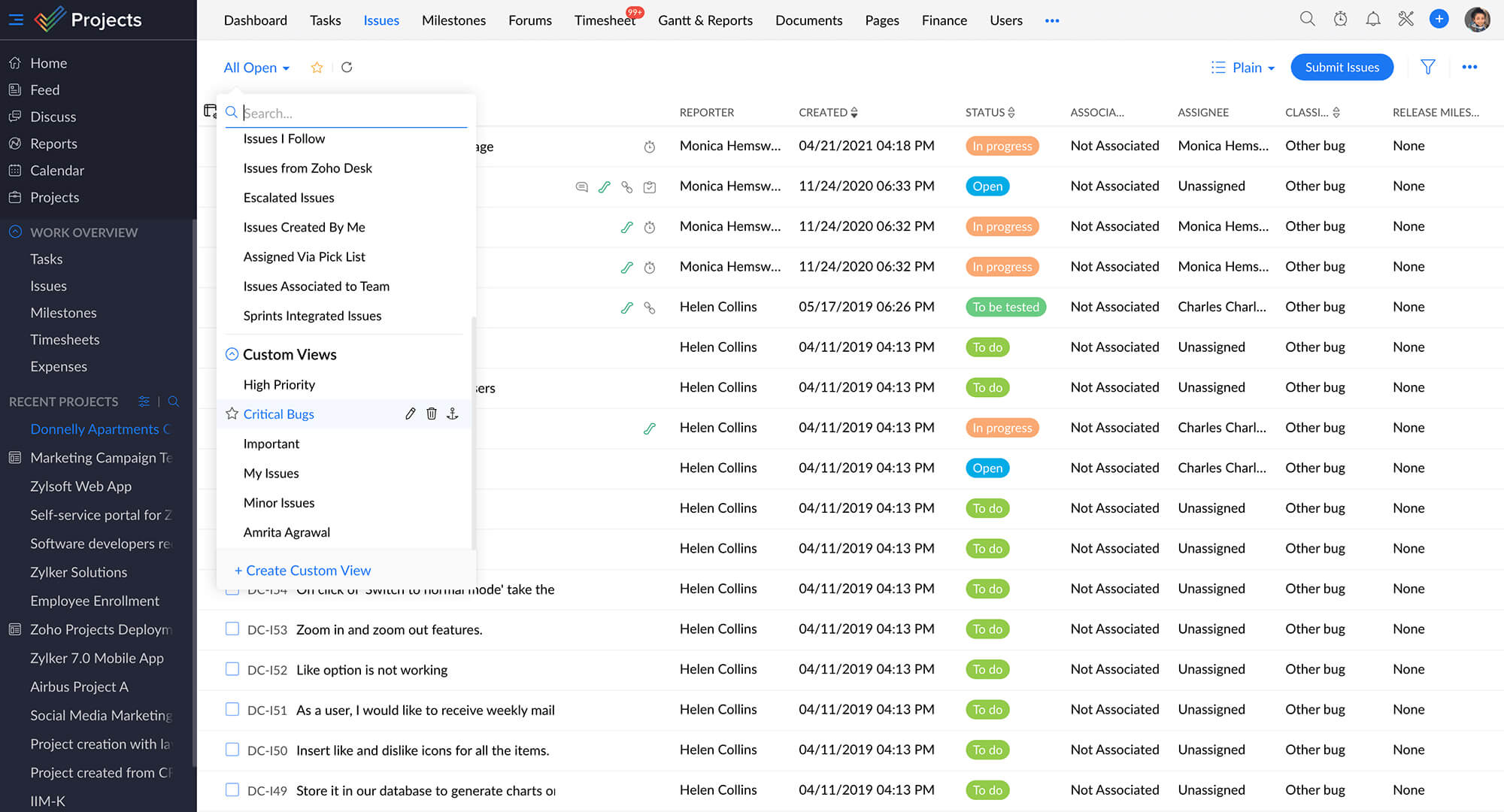 Submit and organize issues