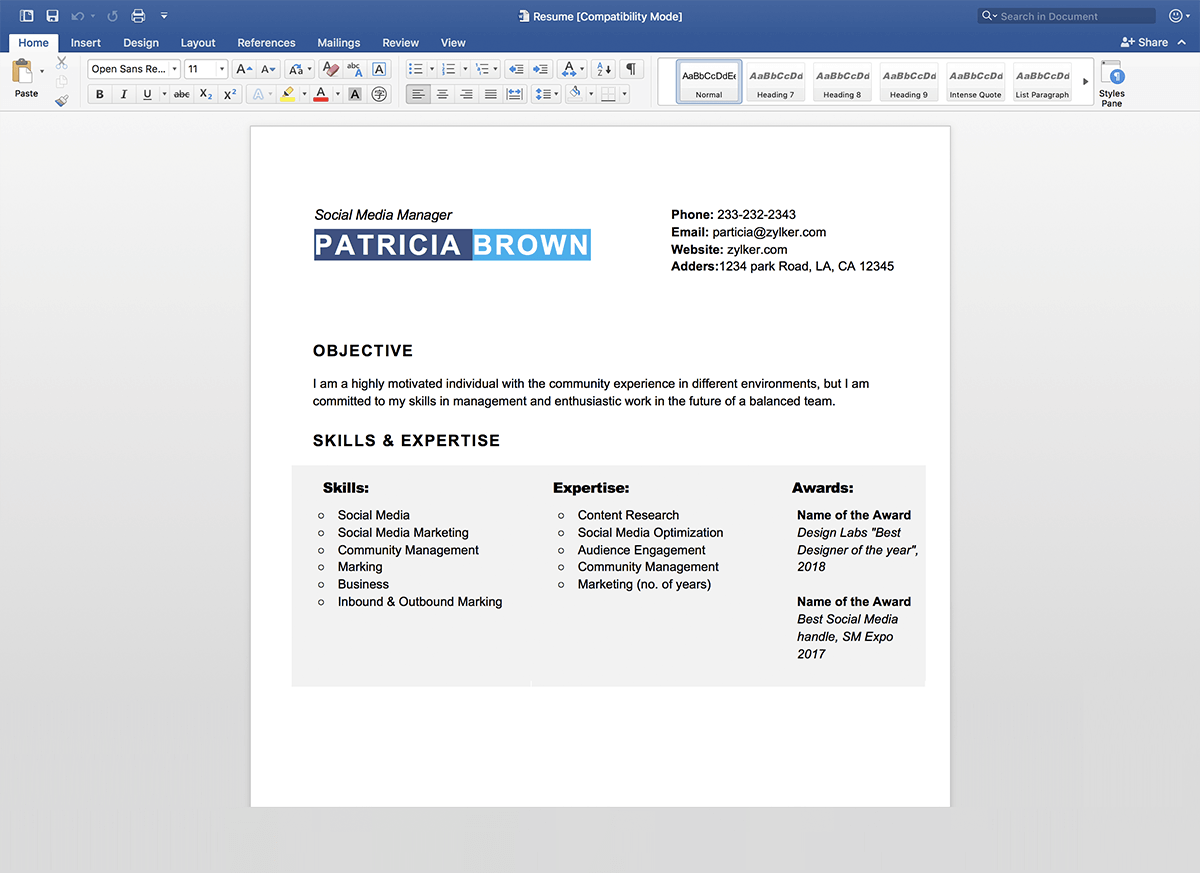 Compatibilité MS Word
