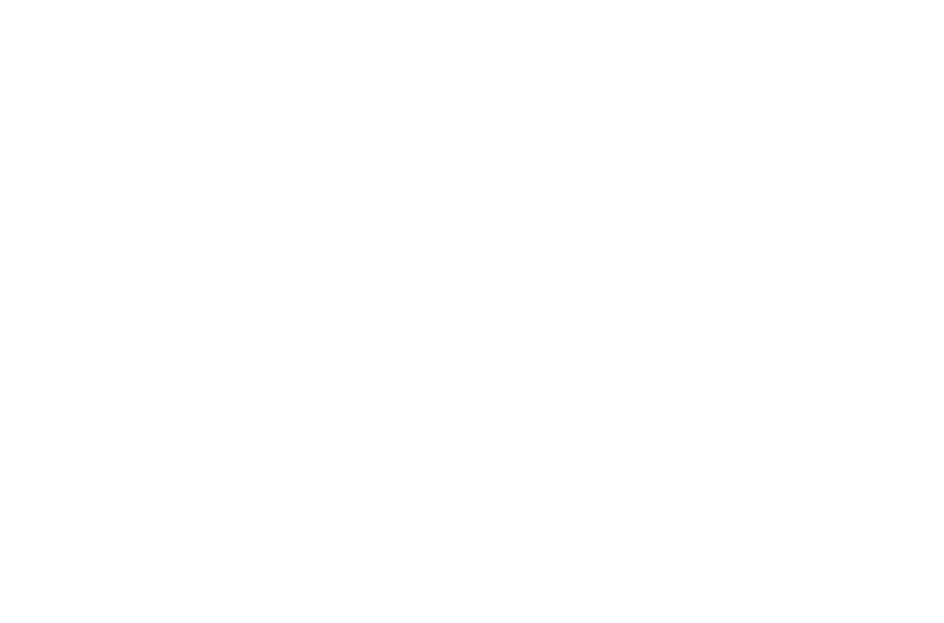 annotator