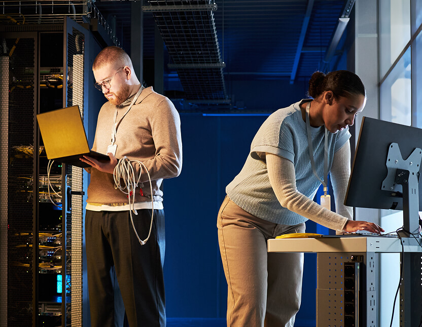 IT and security teams