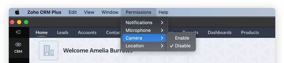 Permissions in Zoho CRM Plus desktop app