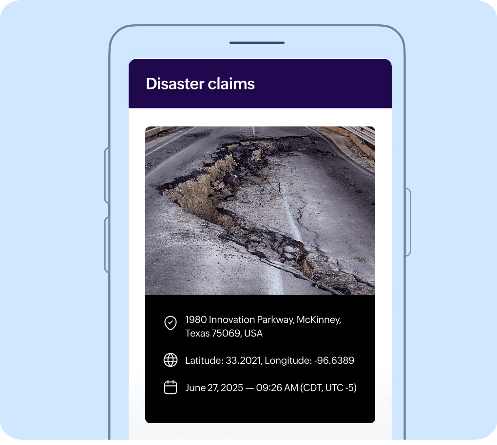 Disaster claims assessment