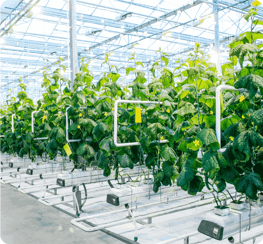 Beyond the Books with Zoho