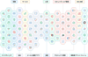 Zoho とは