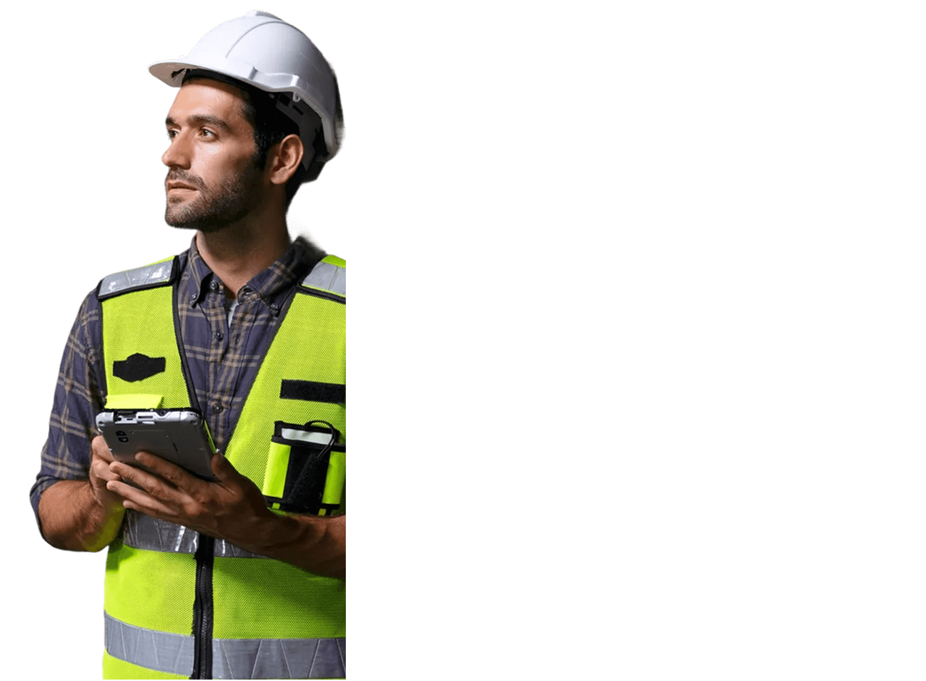 remote inspection software