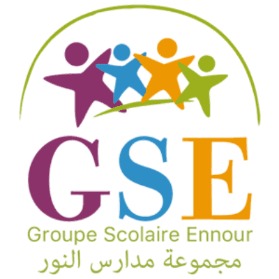 gse institute