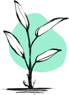 Grow