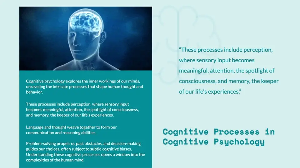 Cognitive Process