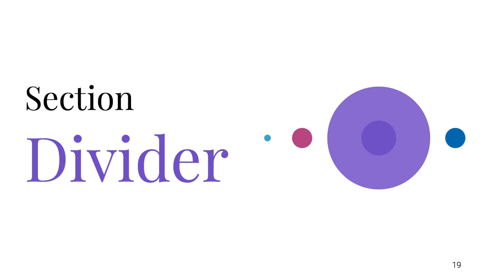Section Divider