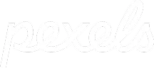 feather-icon