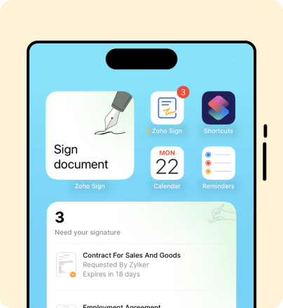Widgets for instant access