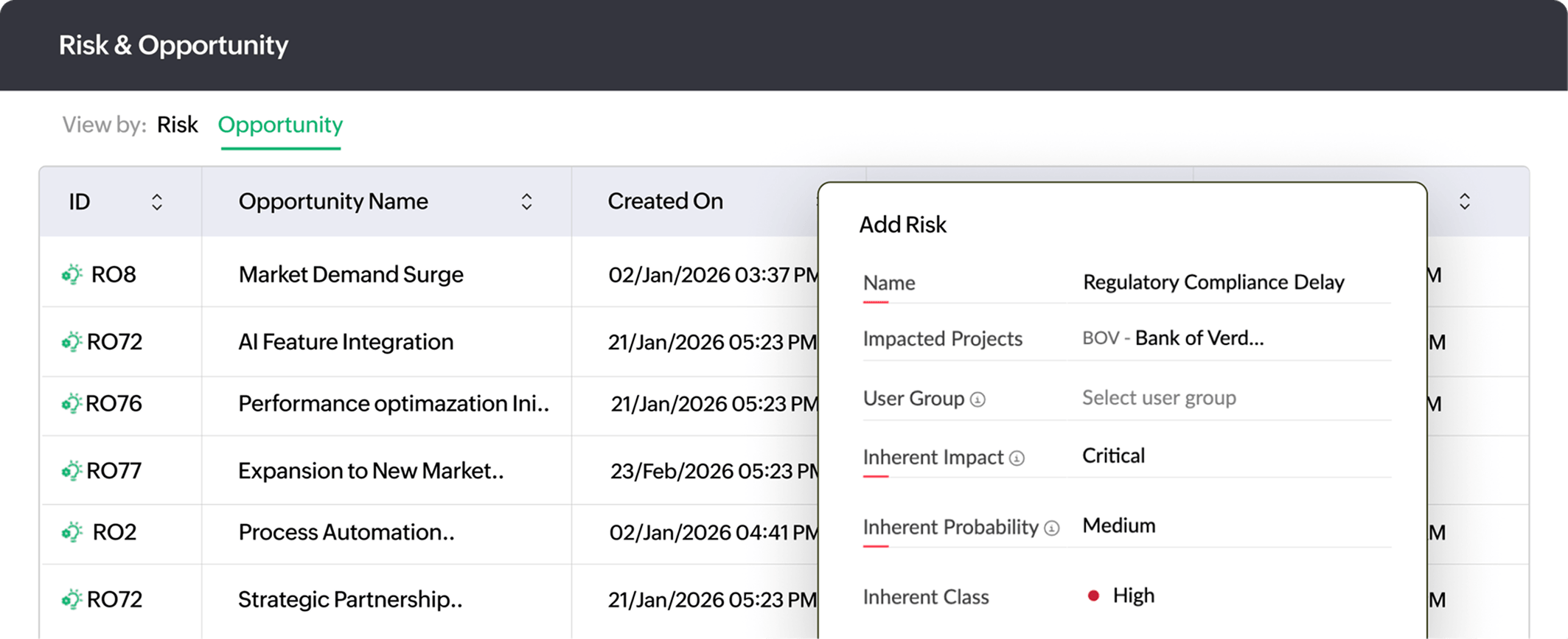 Risk and Opportunity Register