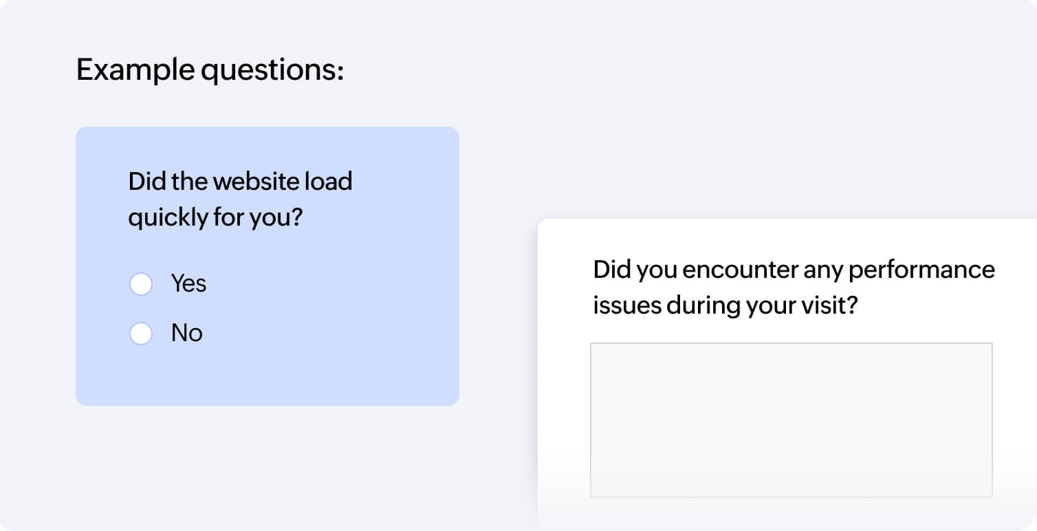 Website performance surveys