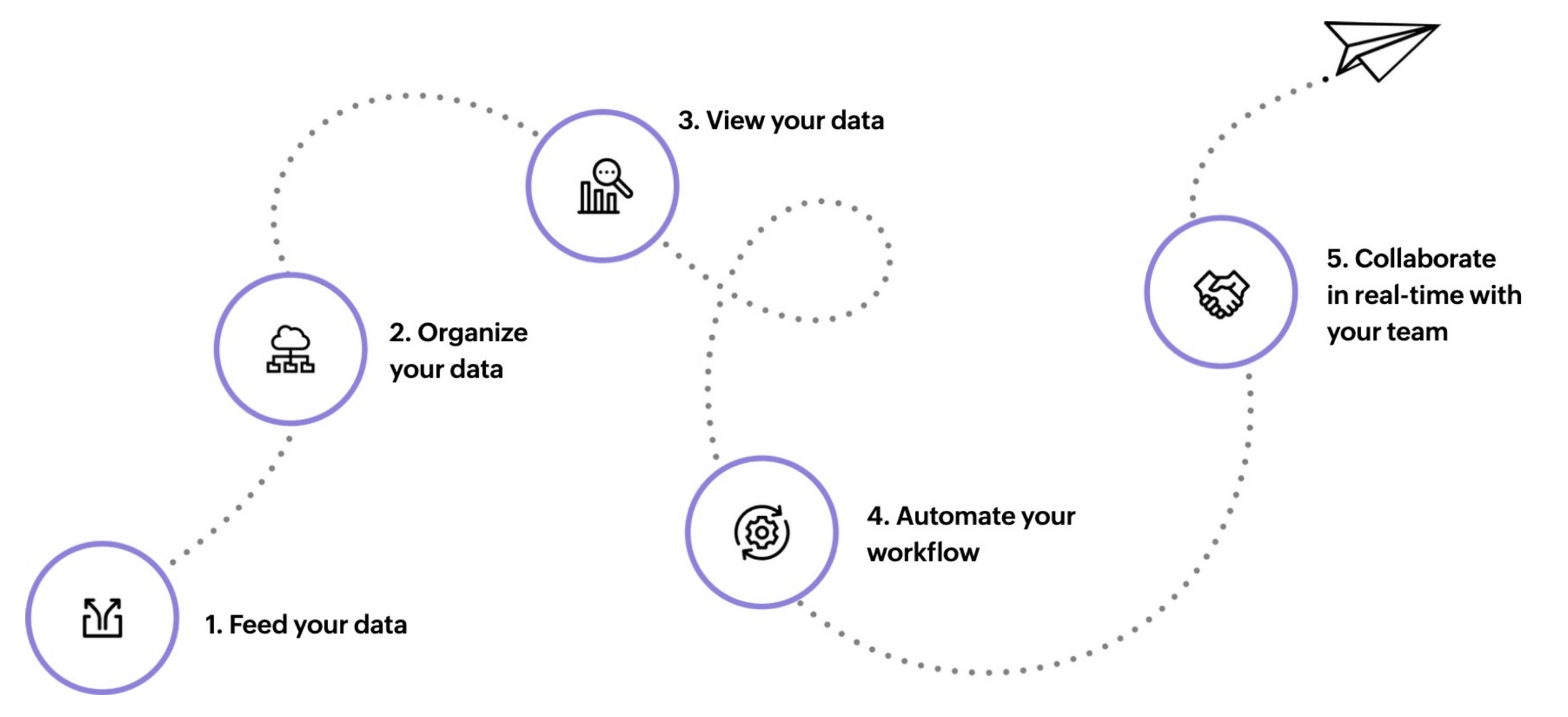 build dynamic reports