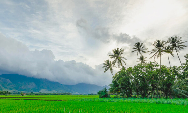 Revitalizing rural economies