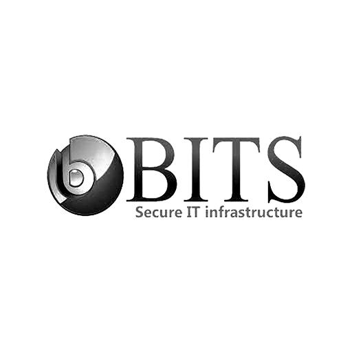 bits