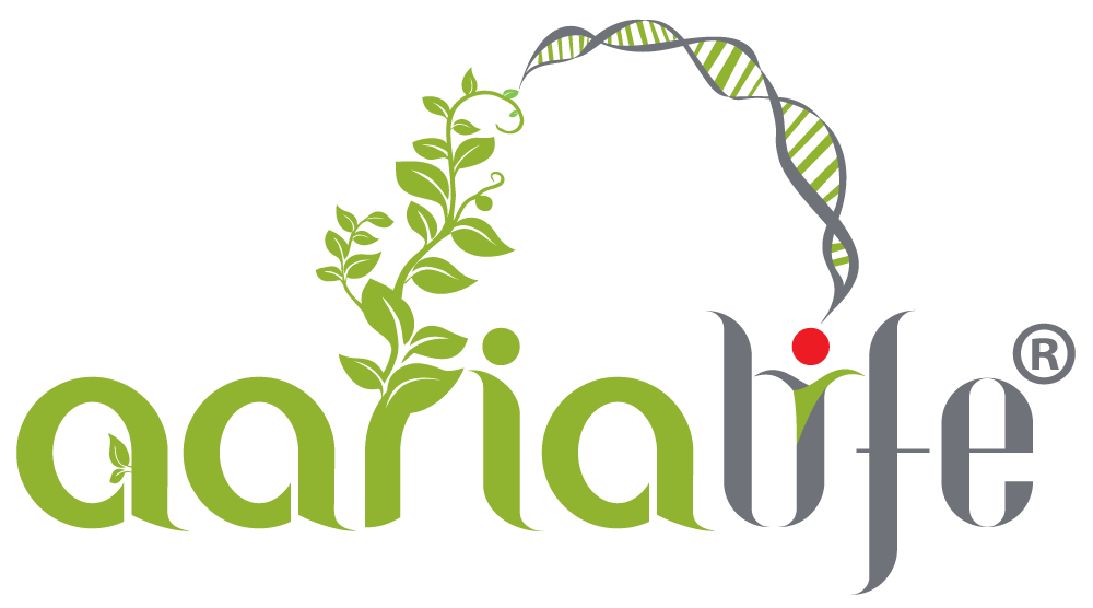 Schbang pitch deck image