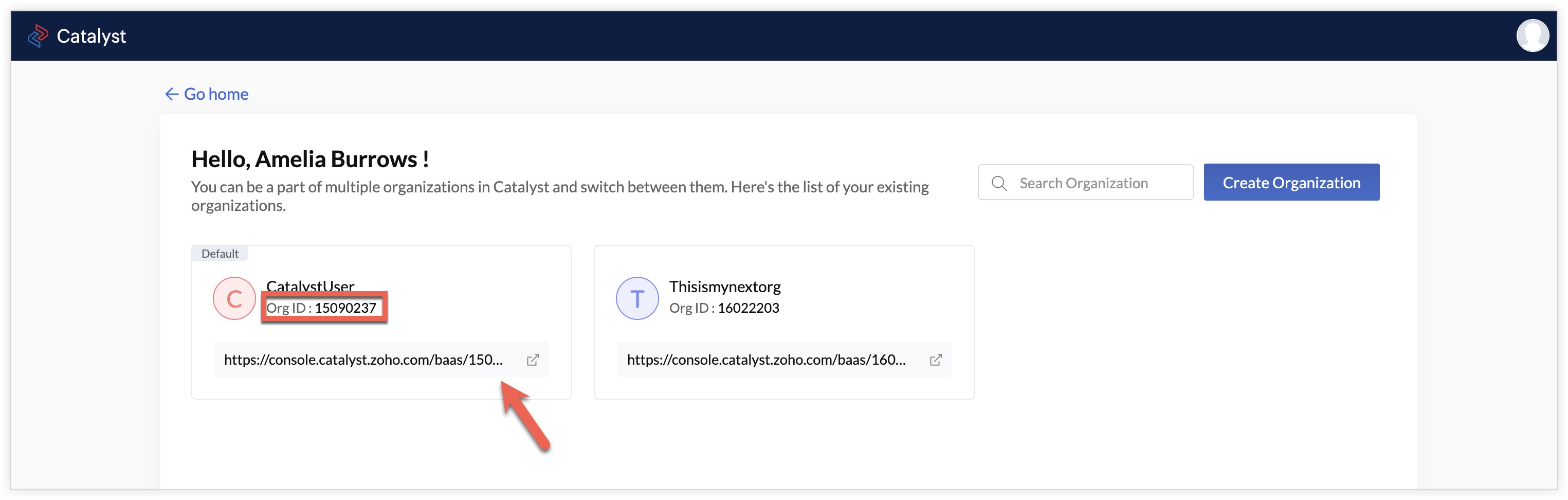 Catalyst Projects and the Console Online Help Catalyst