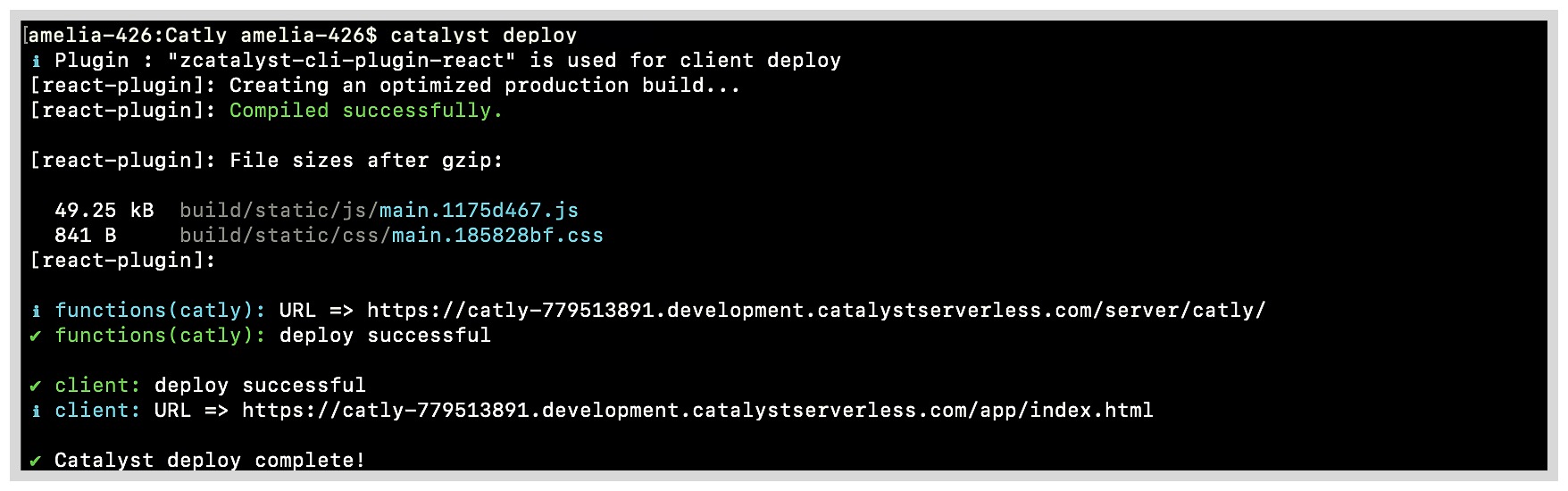 react_app_catalyst_deploy