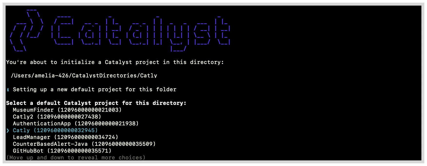 react_app_catly_init