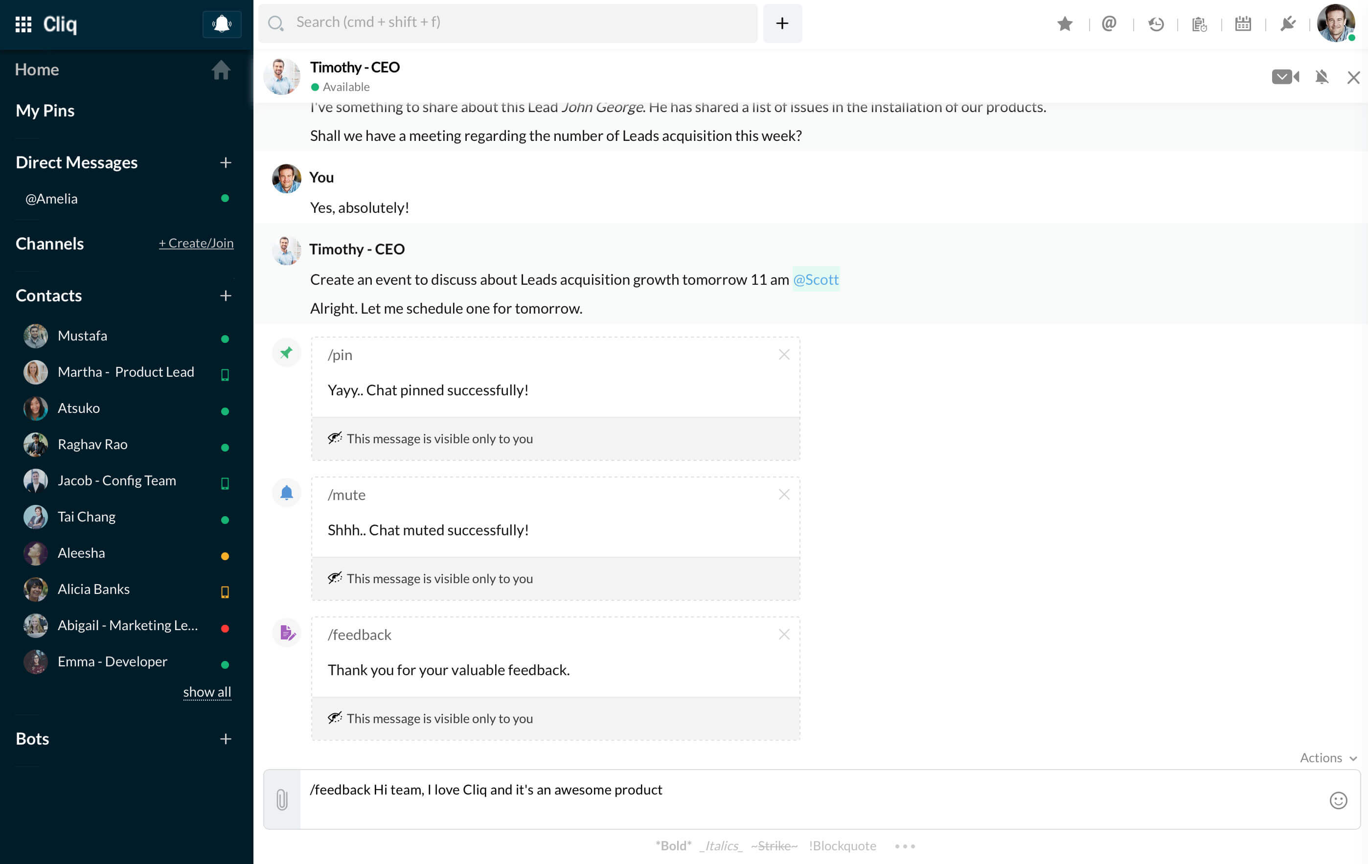  Cliq offers few basic commands.