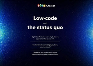 Low Code Platform Custom Application Creator For Your Business