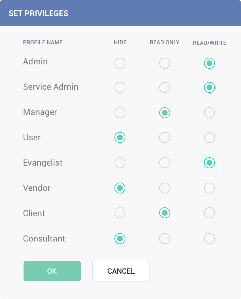 Set field access privileges