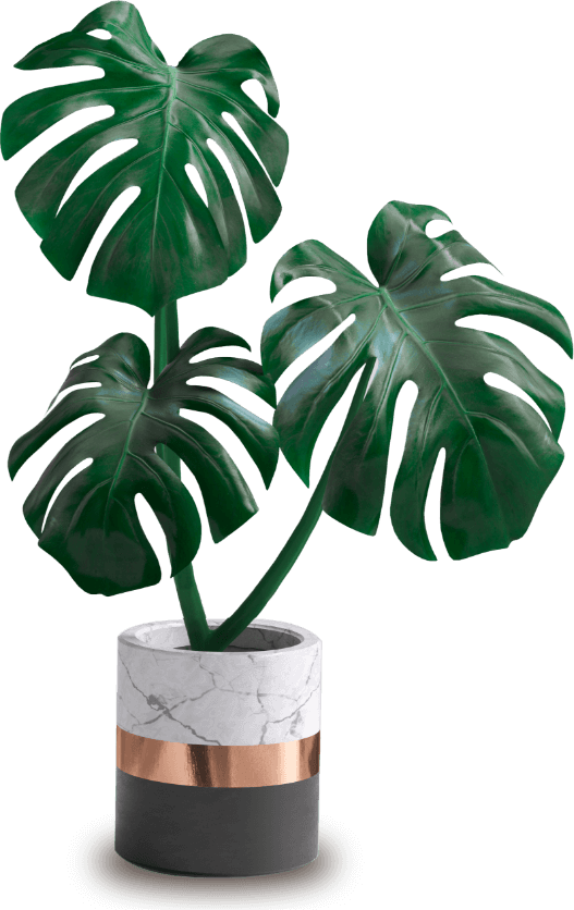 pot