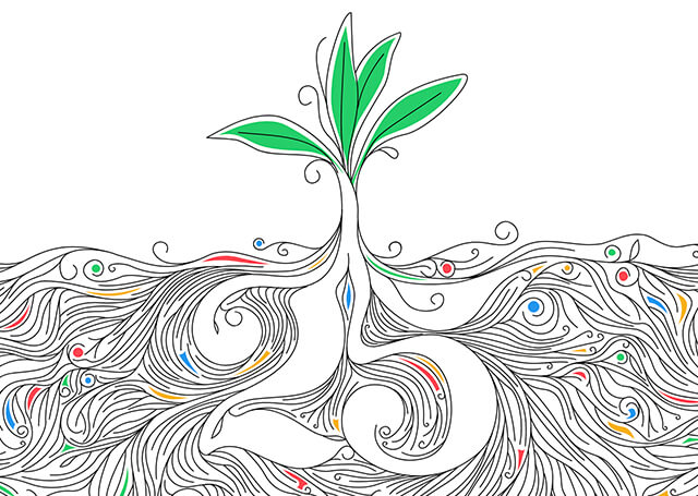 Zoho 25