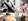 Software and hardware vendors