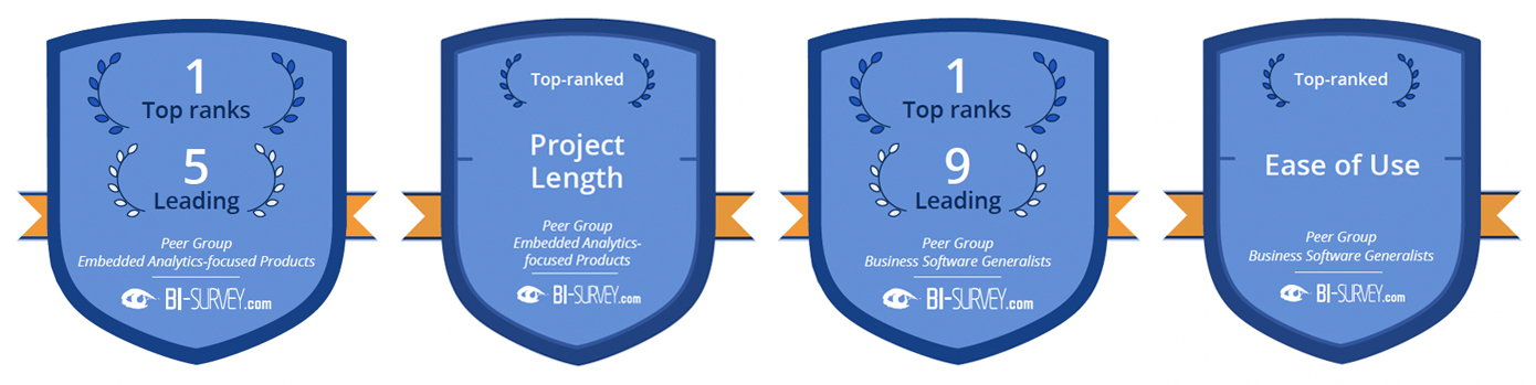 De BI & Analytics Survey 21