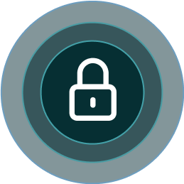 Safeguarding Your Remote Work with Zoho Assist