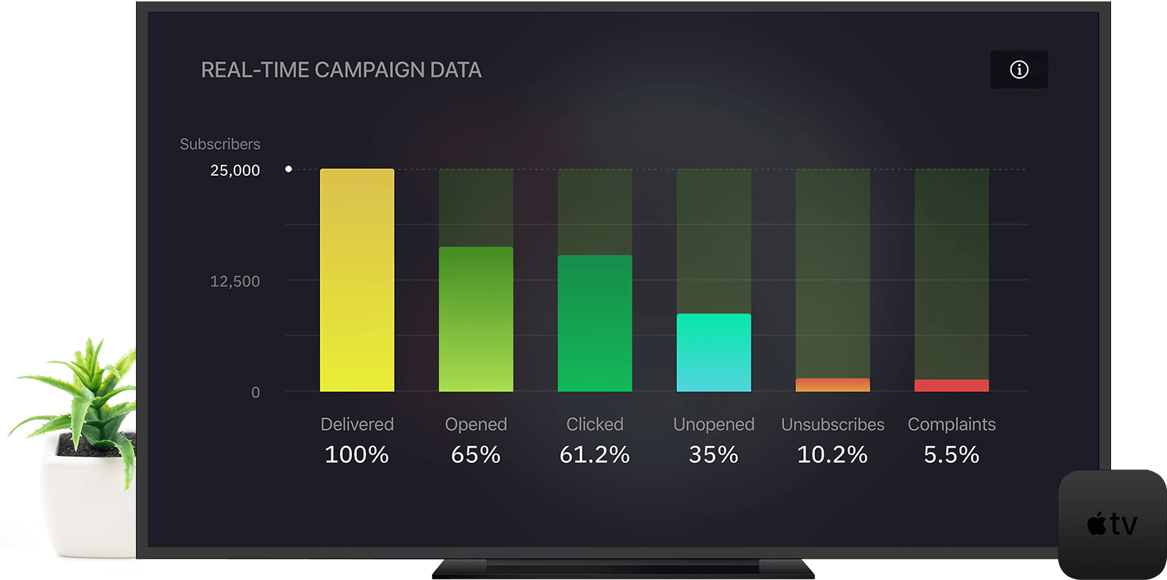 Enhance your email marketing efforts with the TV app