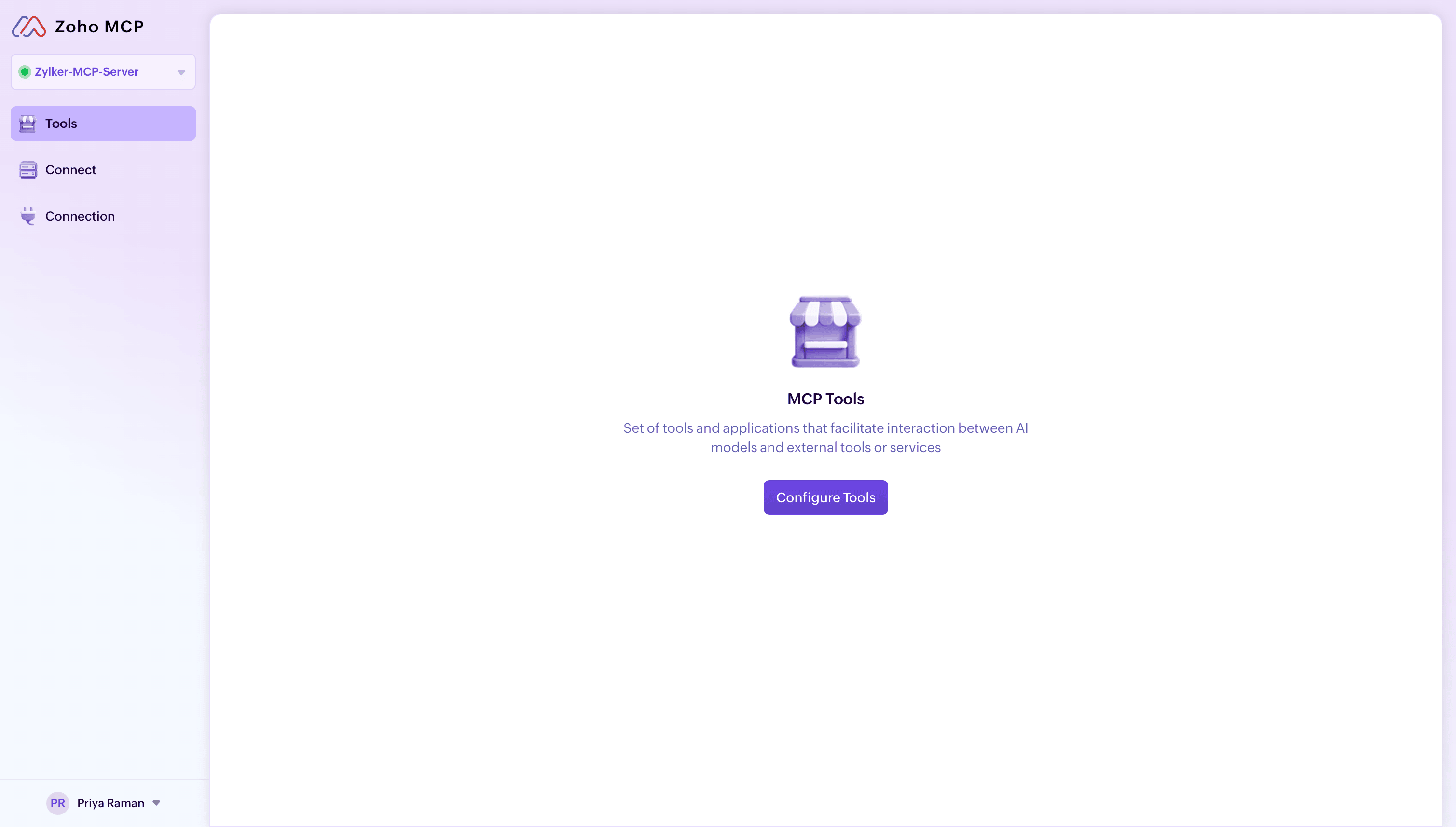 Naming Zoho MCP server