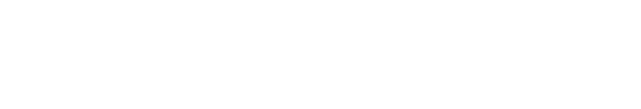 search bar