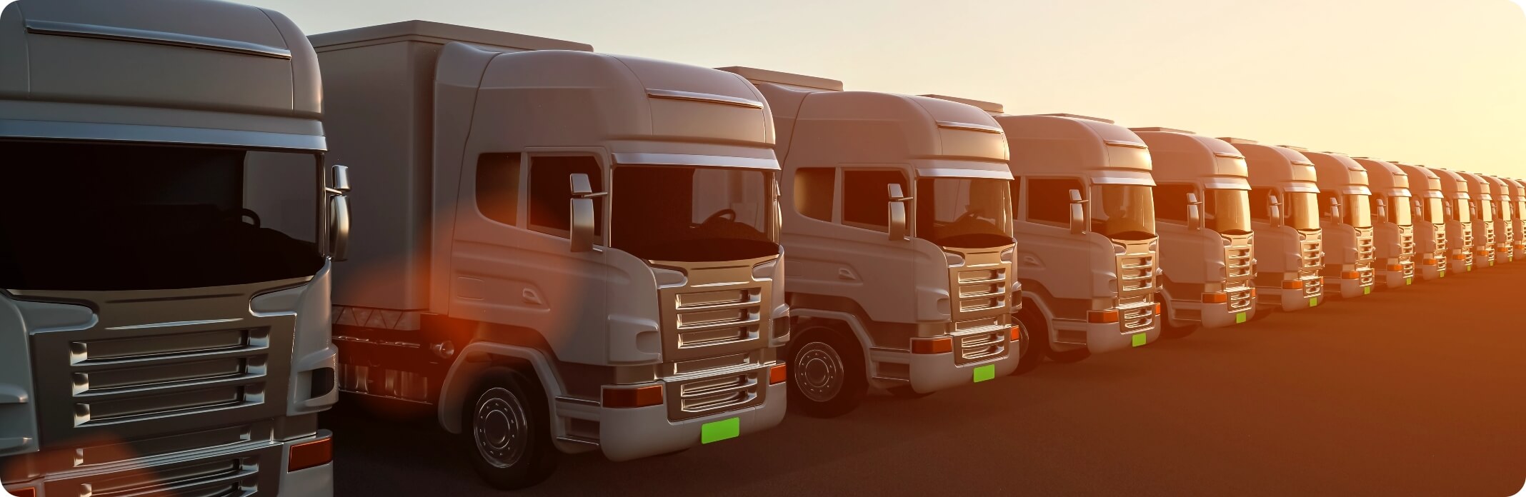 Fleet management software