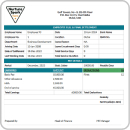 paysif employee statements