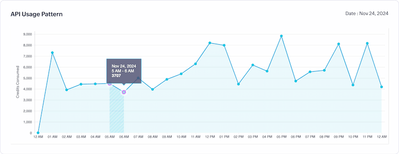 API usage for a day