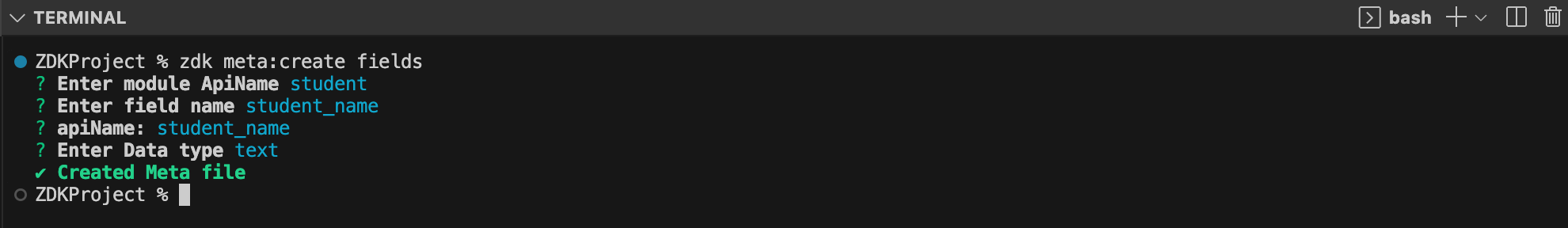 zdk meta:create fields command executed in terminal 
