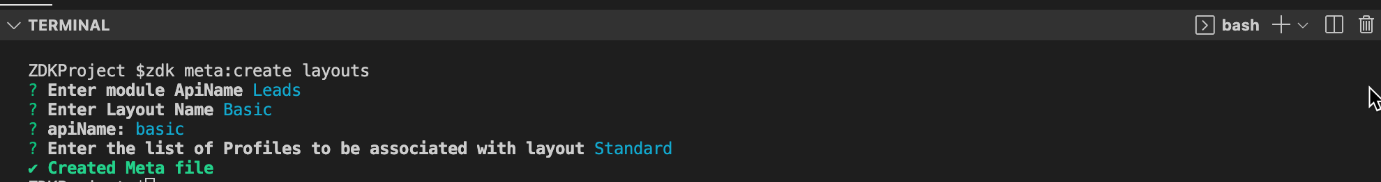 zdk meta:create layouts command executed in terminal 
