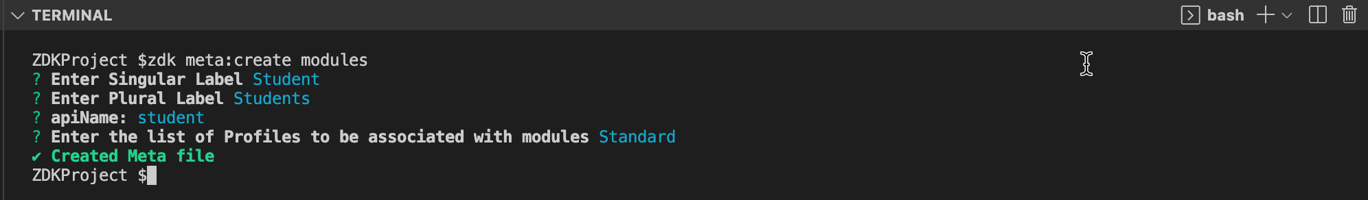 zdk meta:create modules command executed in terminal 
