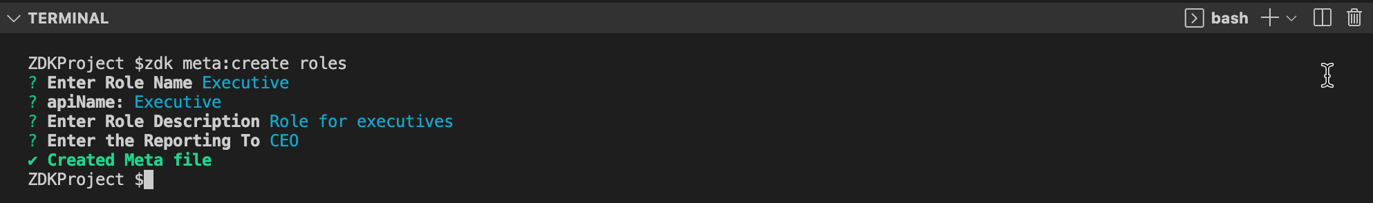 zdk meta:create roles command executed in terminal 