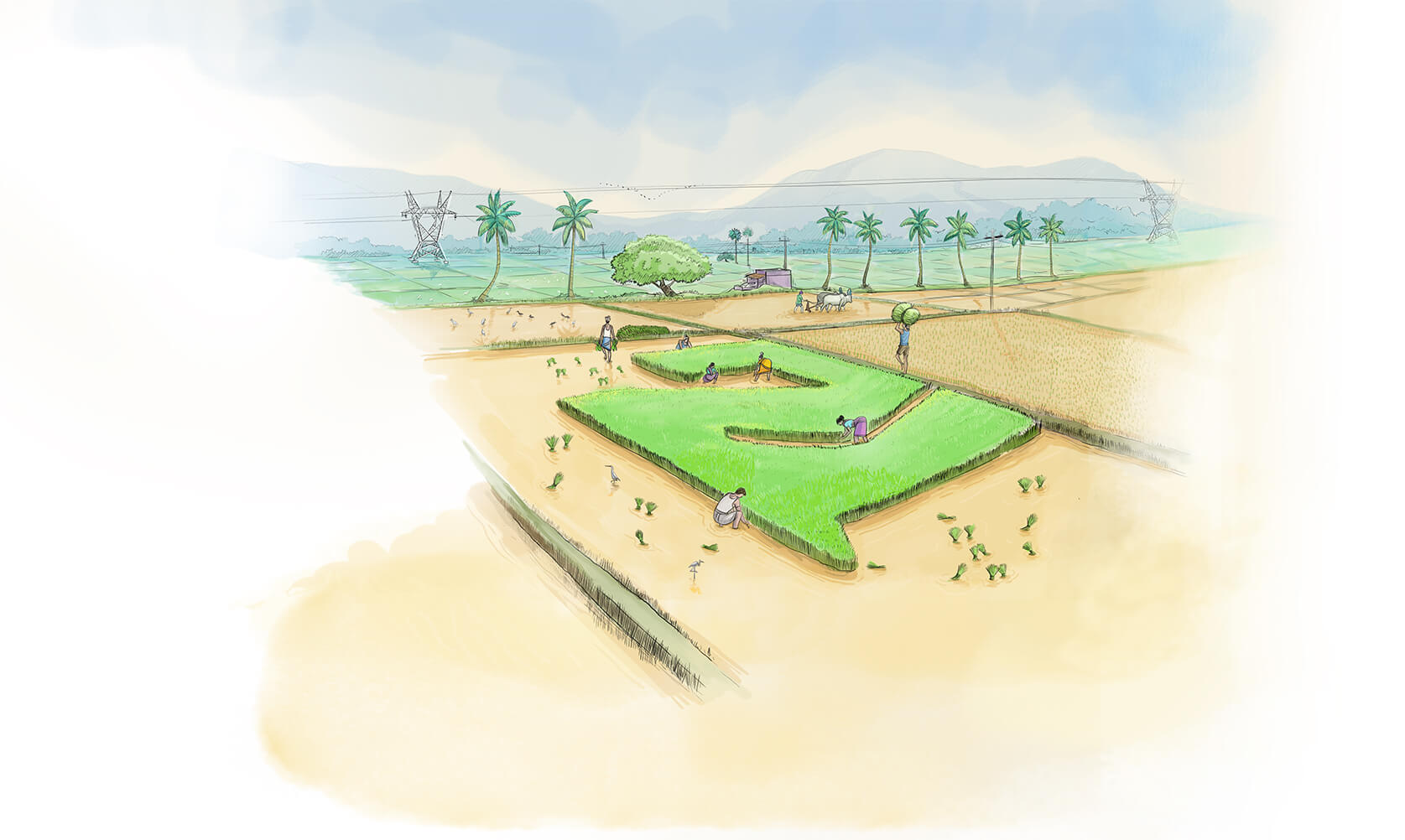 World class customer service software built in the heart of rural India
