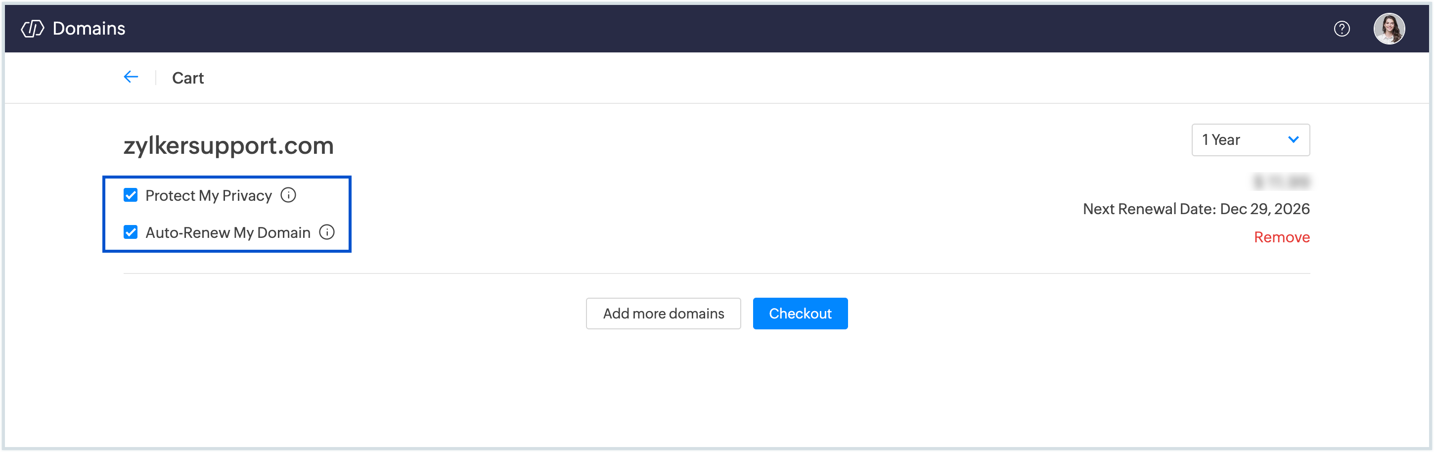 Domain settings