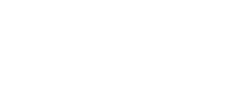 Waterford city and council