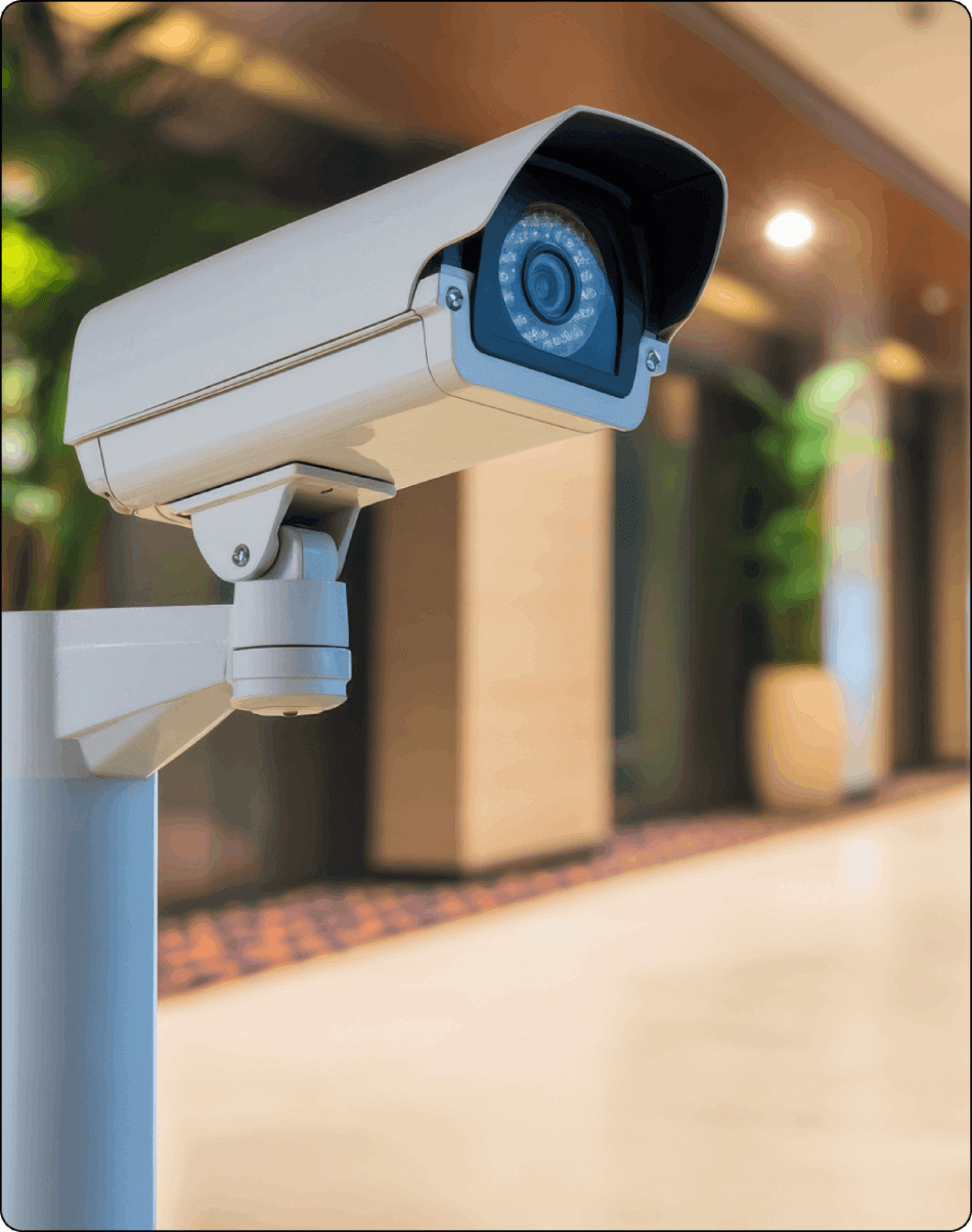 Supply Chain Visibility