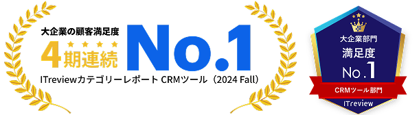 industryenterpriseitreviewbadge